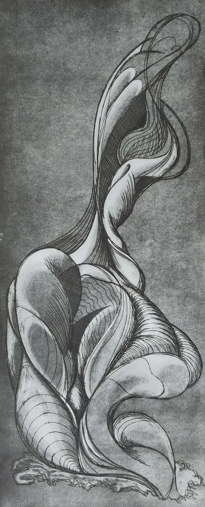 Echoes in Form, an etching by Bruce Thomson in grey and black, ribbed shell forms folding over one another like drapery