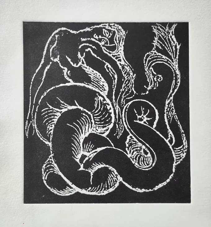 Long-Tailed Mermaid, an etching by Bruce Thomson printed in white line on black, the mermaid coiled around her own tail