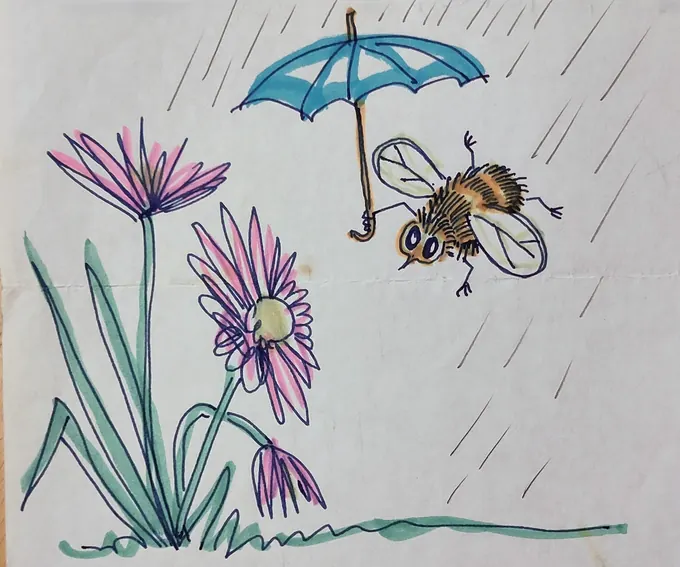 Bee in the Rain, Letter home · Illustration by Bruce Thomson