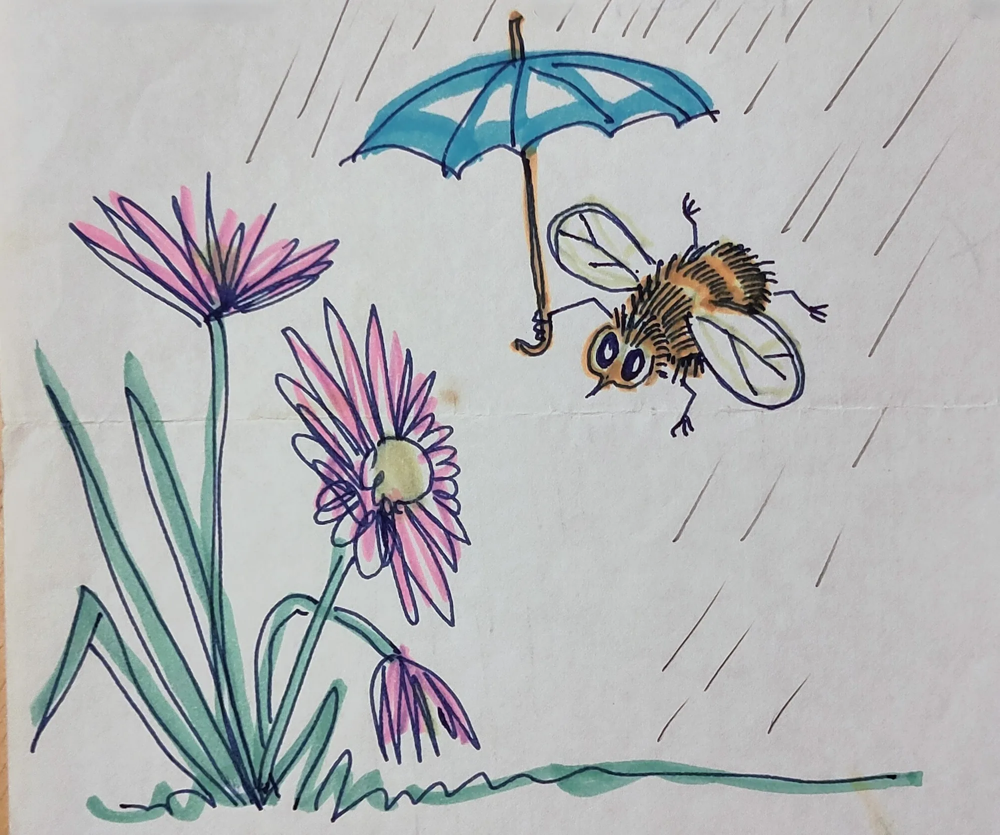 Bee in the Rain, a bee sheltering under a blue umbrella above pink flowers, from an illustrated letter home by Bruce Thomson