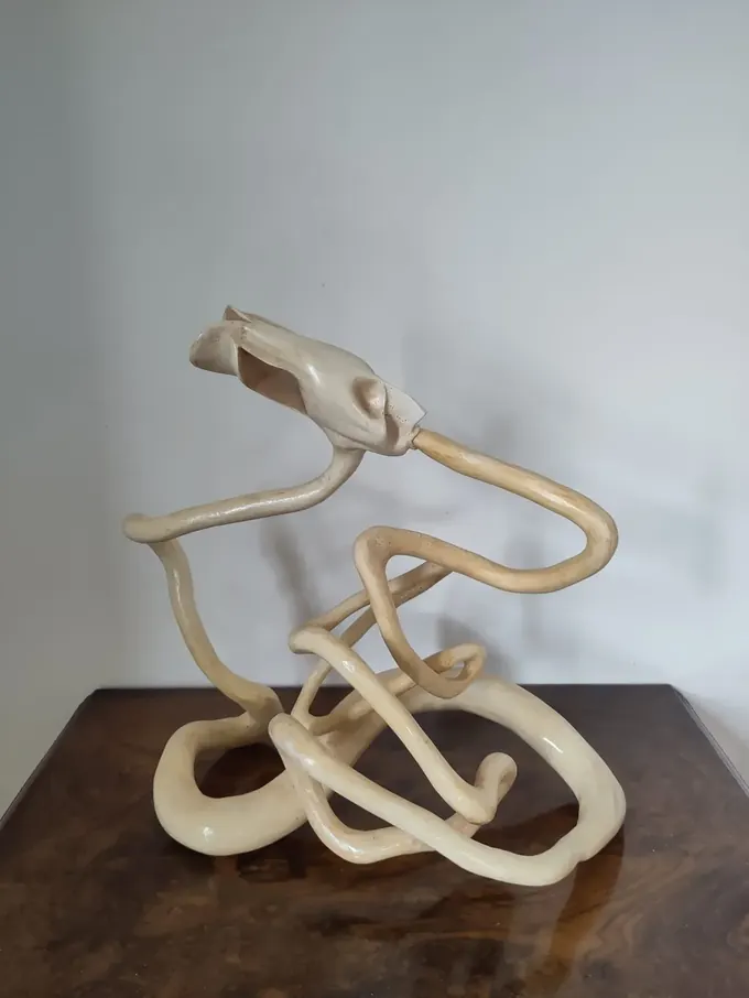 Wooden Snake, a carved wood sculpture by Bruce Thomson, a pale snake looping back on itself with its jaws open
